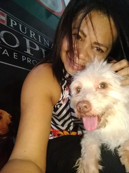 Foto 3 Agroveterinária