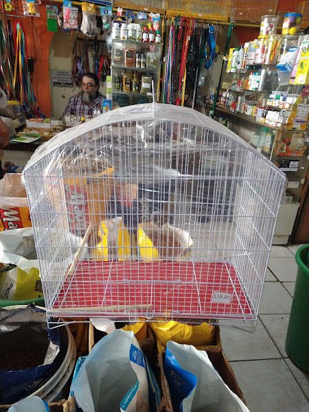 Foto 1 '' O Baldarate''