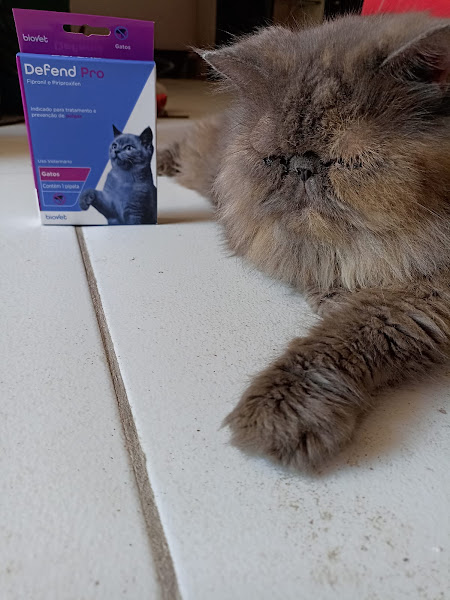 Foto 1 Cancão Rações