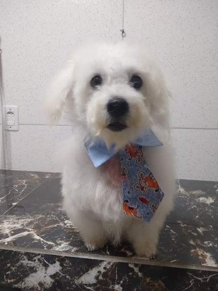 Foto 2 Cancão Rações