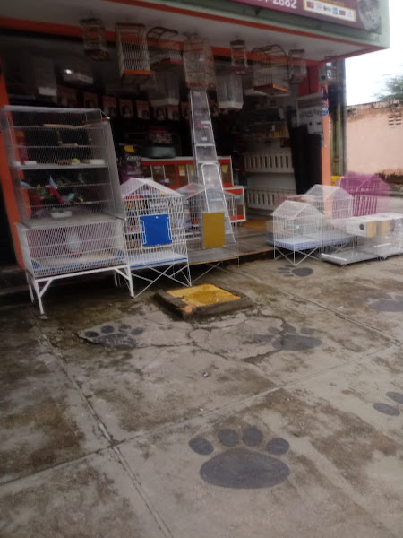 Foto 2 Pranimais rações/ Francisco sà