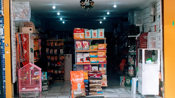 Foto 1 Rei dos Pássaros