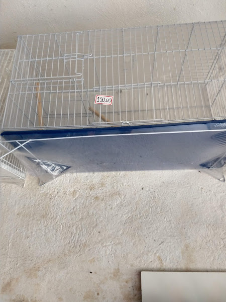 Foto 2 SAMUEL RAÇÕES