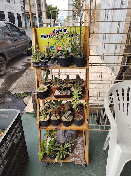 Foto 1 Dogs Rações