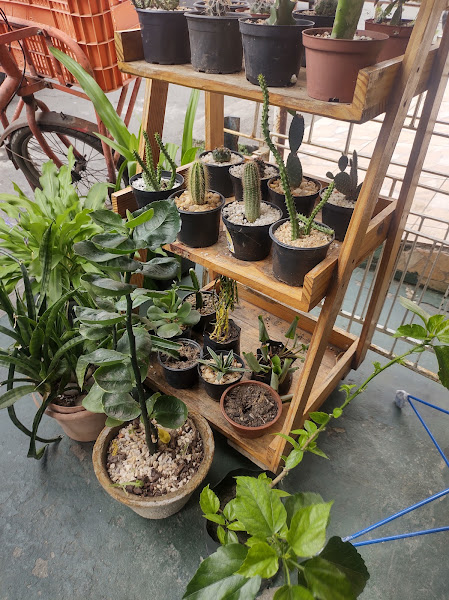 Foto 2 Dogs Rações