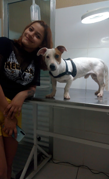 Foto 3 Casa Verde Rações