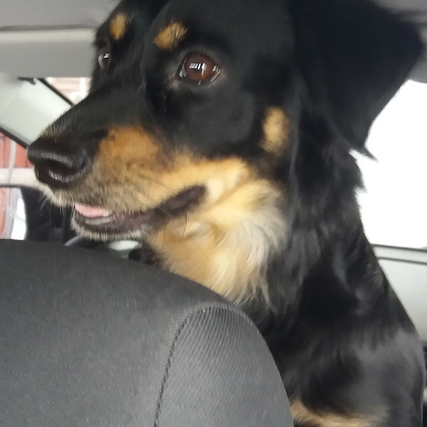 Foto 4 Casa Verde Rações