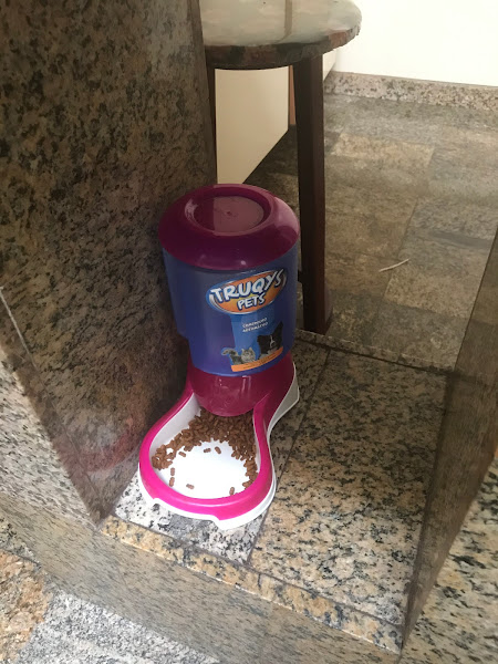 Foto 2 Dog Shop Rações