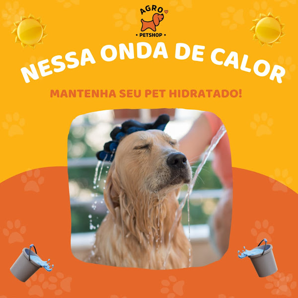 Foto 1 Agropet Shop II