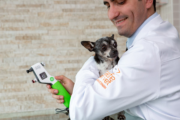 Foto 1 Graefe von Vet - Thiago Ferreira - Veterinário Oftalmologista