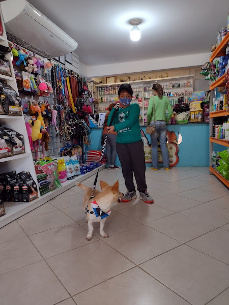 Foto 1 Recanto dos Bichos Pet Shop em Florianópolis