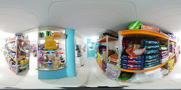 Foto 4 Recanto dos Bichos Pet Shop em Florianópolis