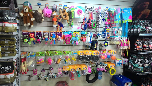 Foto 2 Bicho da Casa Pet Shop