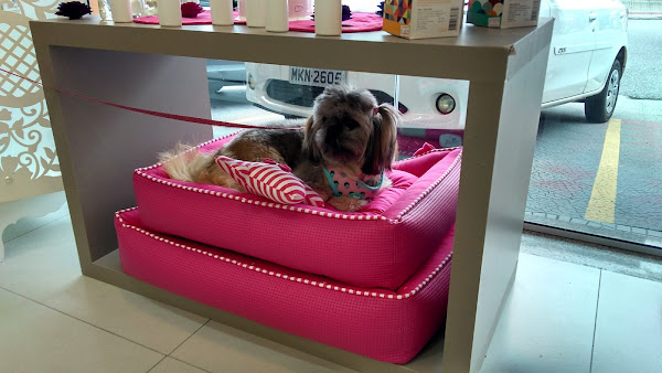 Foto 4 Arara Pet Shop e Clínica Veterinária