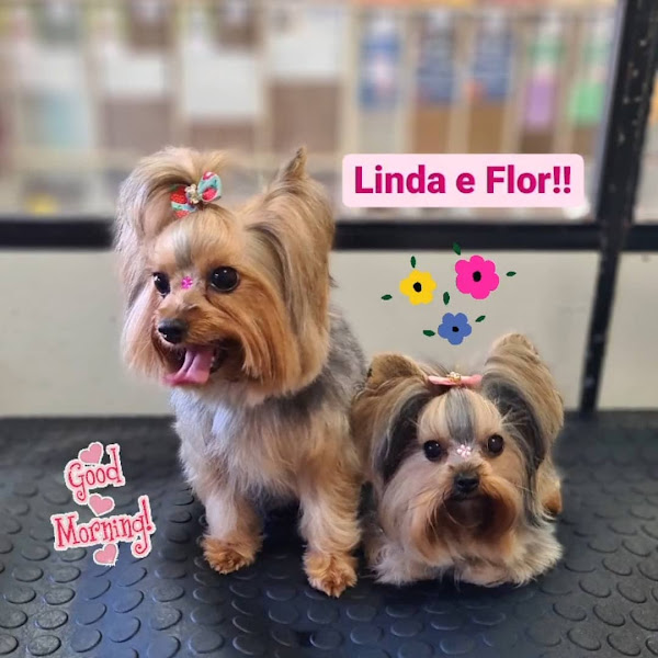 Foto 3 Cannis Pet Shop