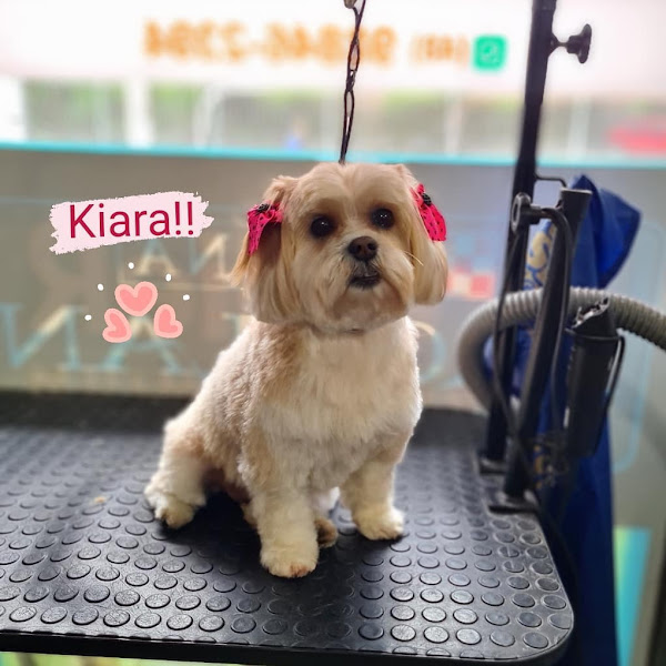 Foto 5 Cannis Pet Shop