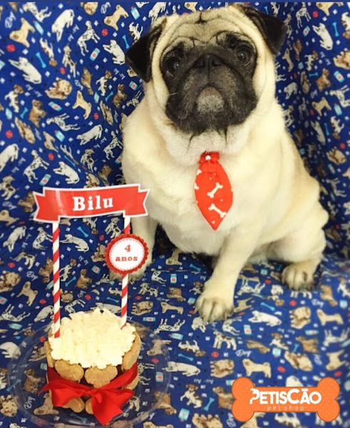 Foto 2 Petiscão Pet Shop