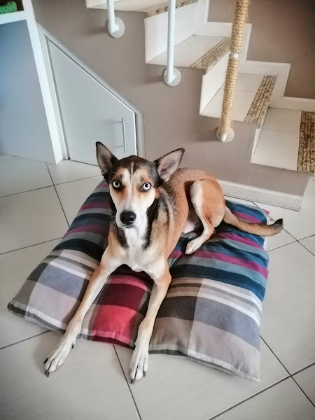 Foto 1 Loja Sub Solo Imperatriz