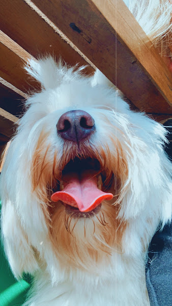 Foto 2 Loja Sub Solo Imperatriz