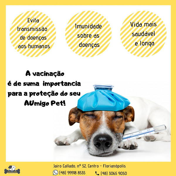 Foto 3 Cão que Late Pet Shop