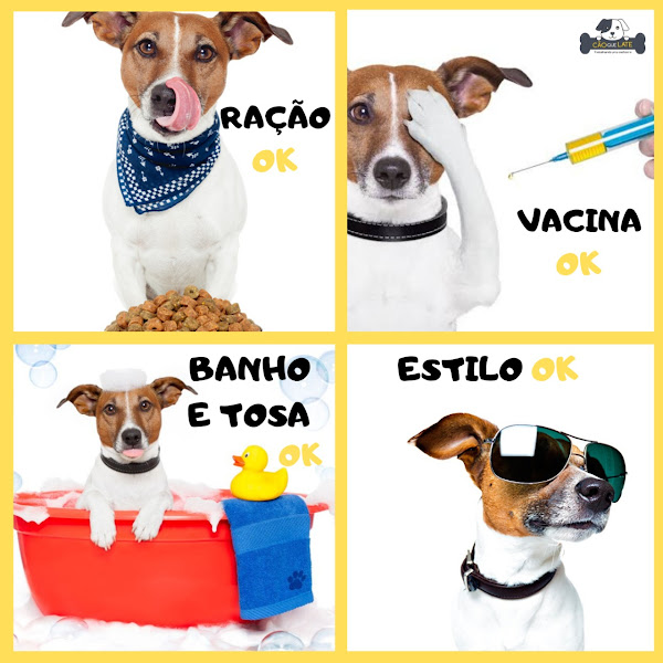 Foto 4 Cão que Late Pet Shop Foto 4 Cão que Late Pet Shop