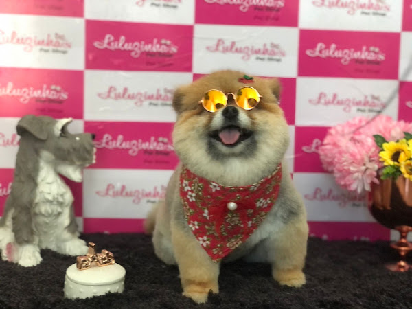 Luluzinha's Pet Shop