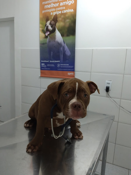 Foto 2 Vanzella Pet Shop