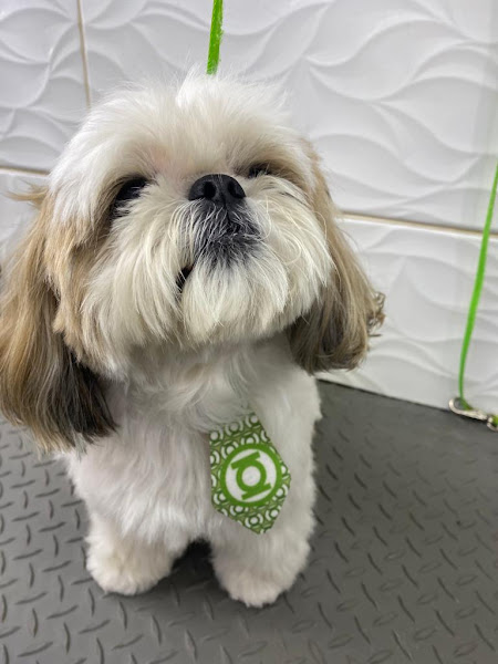 Foto 4 Da Patinha Pet Shop, Estética animal e Consultório Veterinário