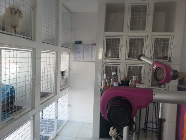 Foto 1 Cantinho do Cão Pet Shop