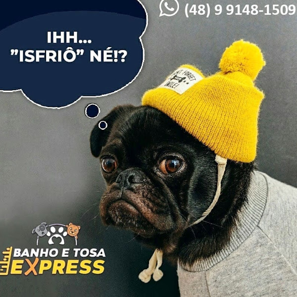 Foto 3 Banho e Tosa Express