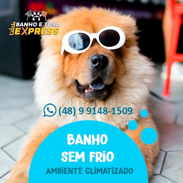 Foto 4 Banho e Tosa Express
