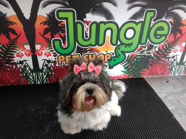 Foto 2 JUNGLE PETSHOP