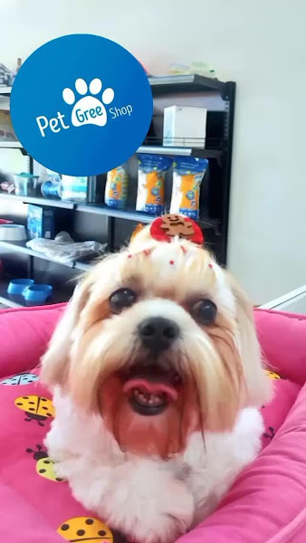 Foto 1 PET GREE SHOP