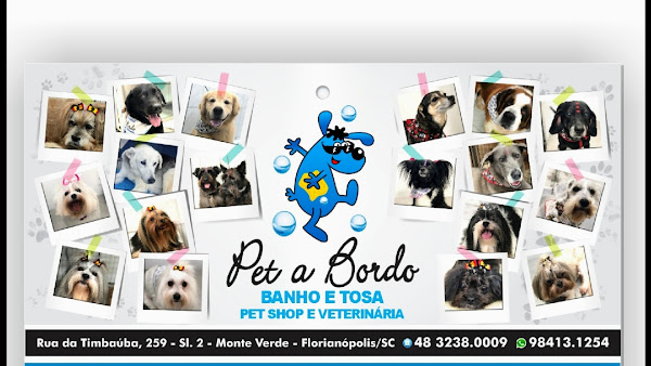 Foto 4 PET A BORDO PET SHOP E VETERINÁRIA