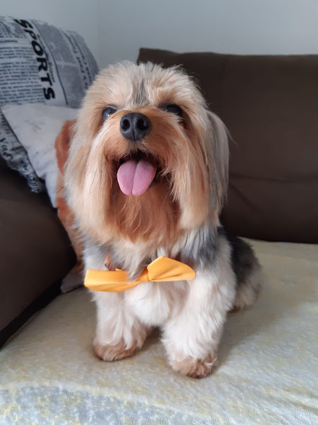 Foto 4 Mi-Au Pet Center