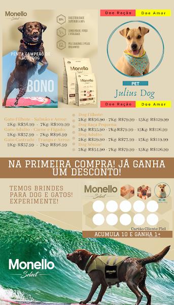 Foto 2 Pet Julius Dog