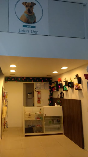 Foto 3 Pet Julius Dog