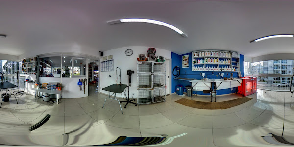 Foto 4 Mimo Dos Bichos