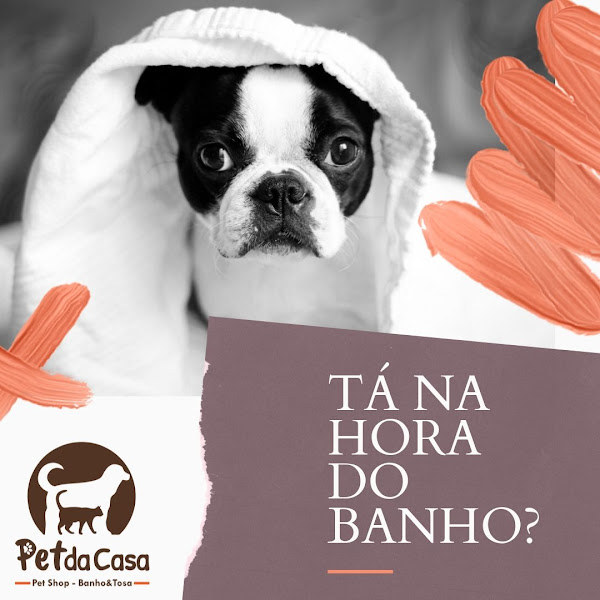 Foto 3 PET da CASA - Pet Shop e Banho&Tosa