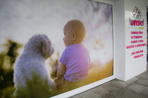 Foto 2 Divino Pet Care