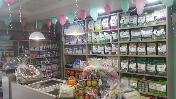 Foto 3 Divino Pet Care