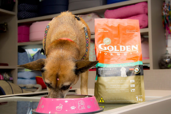 Foto 4 Divino Pet Care