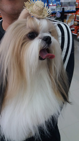 Foto 3 Hospital Veterinário Lovely Dog 24 horas