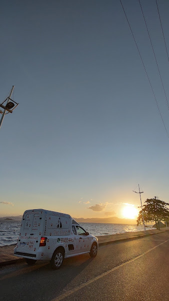 Foto 1 Novo Stilo Pet Shop