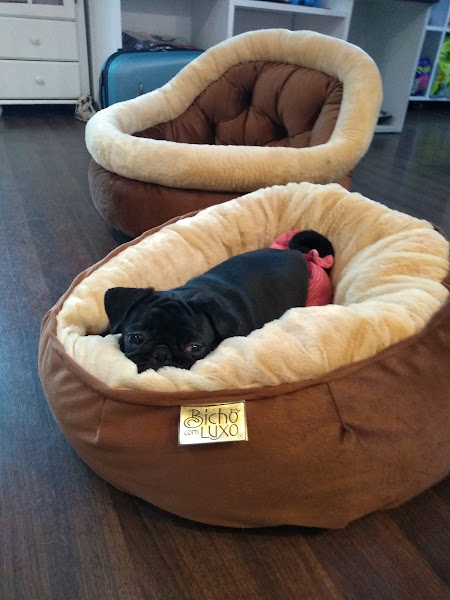 Foto 2 Confraria do Théo