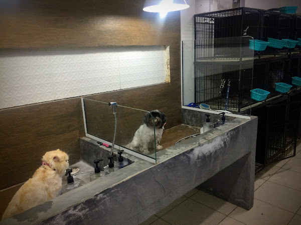 Foto 4 Confraria do Théo