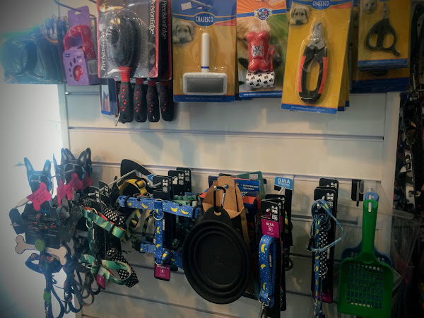 Foto 5 Confraria do Théo