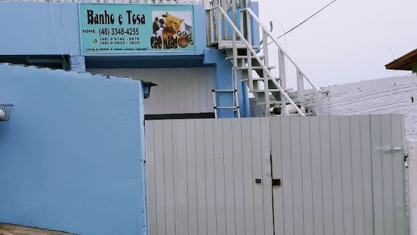 Banho e tosa  Cão Miado pets