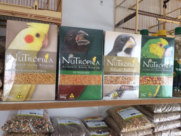 Foto 1 Gould Floripa