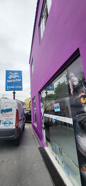 Foto 1 Anjos de Patas